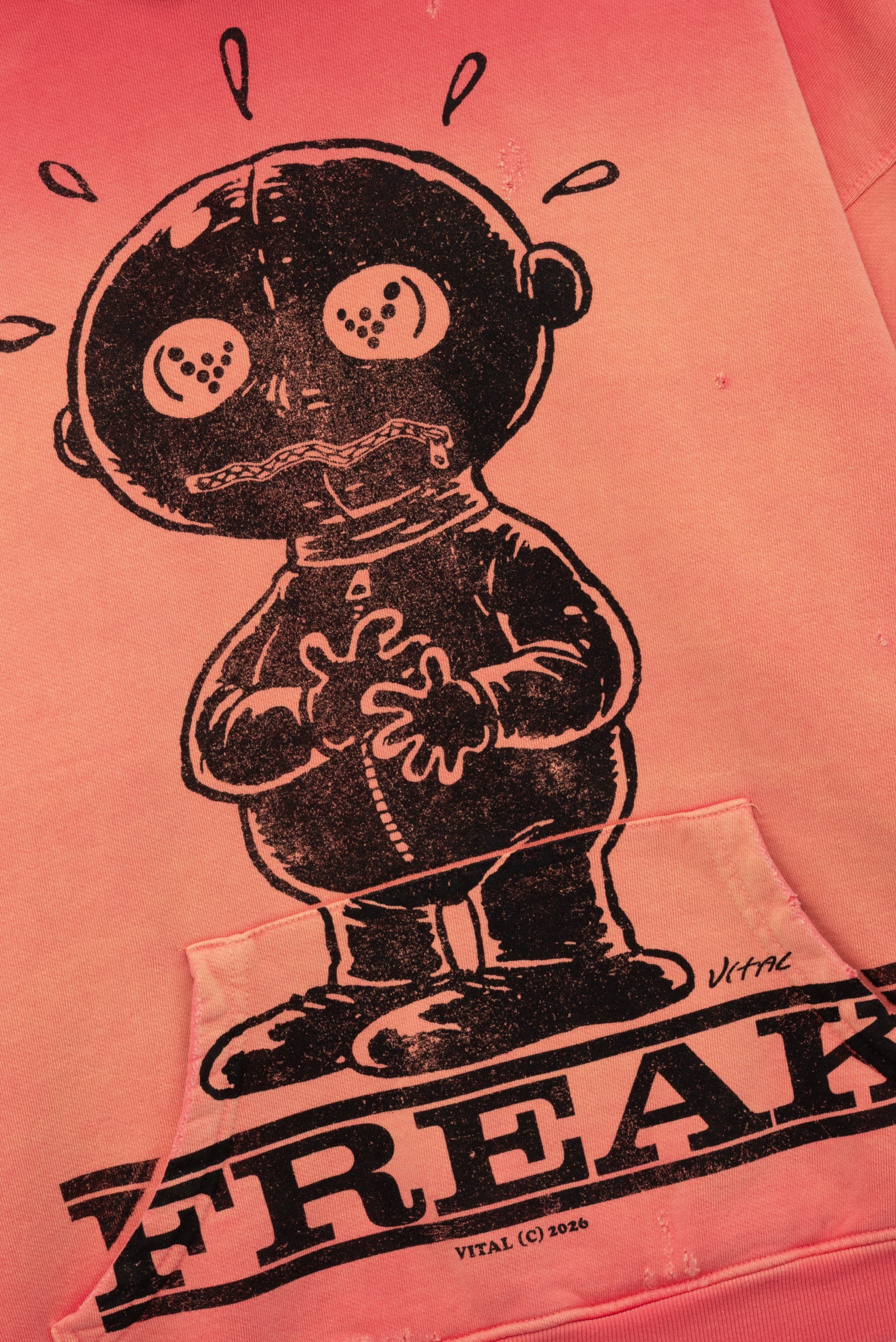 Vital Blvd Freak Heavyweight Pullover Hoodie